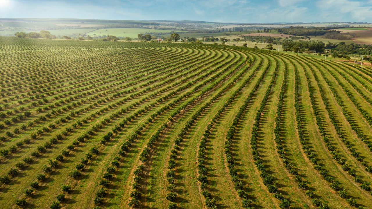 Agro paranaense quer R$ 403 bilhões em Plano Safra 2023/24